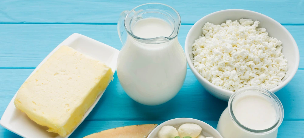 Milk & Dairy Products